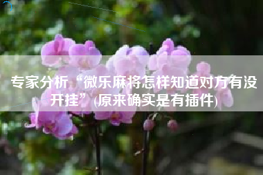 专家分析“微乐麻将怎样知道对方有没开挂	”(原来确实是有插件)