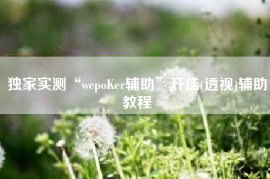独家实测“wepoKer辅助	”开挂(透视)辅助教程