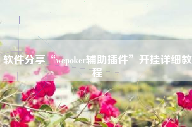 软件分享“wepoker辅助插件”开挂详细教程