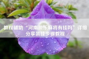 教程辅助“河南微乐麻将有挂吗	”详细分享装挂步骤教程