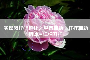 实操教程“德扑之星有辅助	”开挂辅助脚本+详细开挂