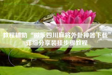 教程辅助“微乐四川麻将外卦神器下载”详细分享装挂步骤教程