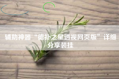 辅助神器“德扑之星透视网页版	”详细分享装挂