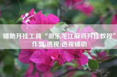 辅助开挂工具“微乐龙江麻将开挂教程	”作弊(透视)透视辅助