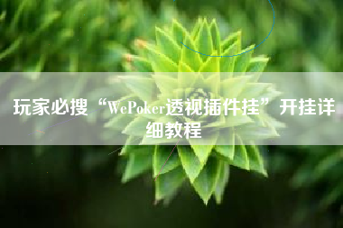 玩家必搜“WePoker透视插件挂”开挂详细教程