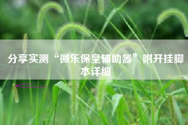 分享实测“微乐保皇辅助器	”附开挂脚本详细