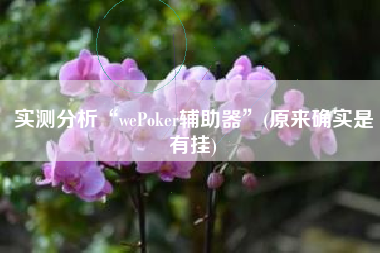实测分析“wePoker辅助器	”(原来确实是有挂)