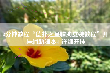 3分钟教程“德扑之星辅助安装教程	”开挂辅助脚本+详细开挂