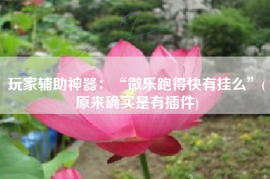 玩家辅助神器：“微乐跑得快有挂么”(原来确实是有插件)