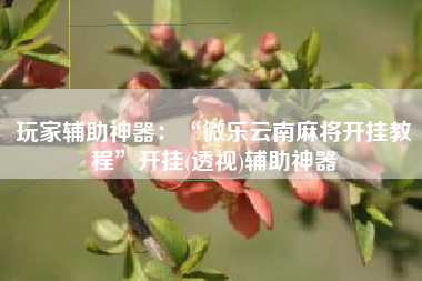 玩家辅助神器：“微乐云南麻将开挂教程	”开挂(透视)辅助神器