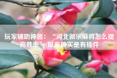 玩家辅助神器：“河北微乐麻将怎么提高胜率	”(原来确实是有插件