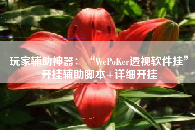 玩家辅助神器：“WePoKer透视软件挂	”开挂辅助脚本+详细开挂