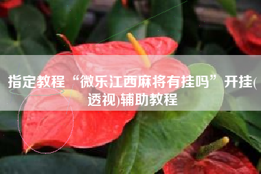 指定教程“微乐江西麻将有挂吗”开挂(透视)辅助教程