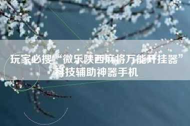 玩家必搜“微乐陕西麻将万能开挂器	”科技辅助神器手机