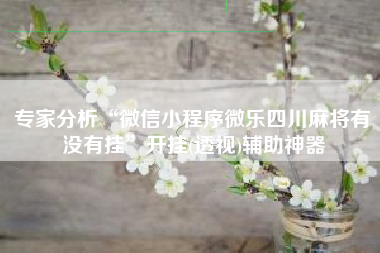 专家分析“微信小程序微乐四川麻将有没有挂”开挂(透视)辅助神器