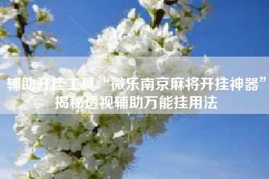 辅助开挂工具“微乐南京麻将开挂神器”揭秘透视辅助万能挂用法