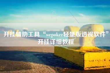 开挂辅助工具“wepoker轻量版透视软件”开挂详细教程