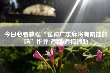 今日必看教程“雀神广东麻将有防挂的吗	”作弊(透视)透视辅助