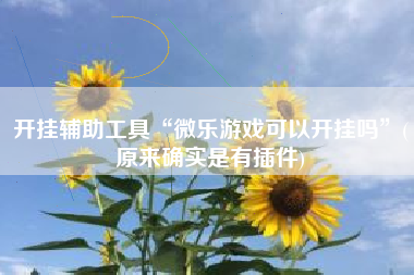开挂辅助工具“微乐游戏可以开挂吗”(原来确实是有插件)