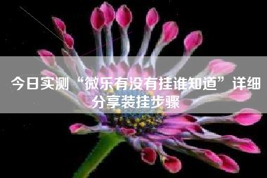 今日实测“微乐有没有挂谁知道”详细分享装挂步骤