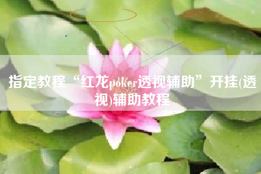 指定教程“红龙poker透视辅助”开挂(透视)辅助教程