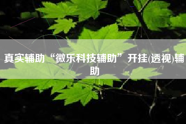 真实辅助“微乐科技辅助”开挂(透视)辅助