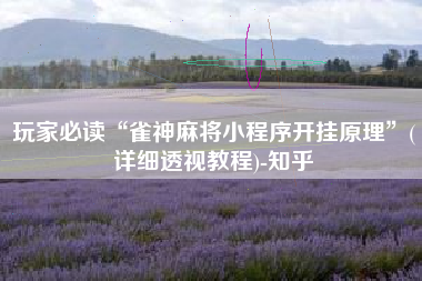 玩家必读“雀神麻将小程序开挂原理”(详细透视教程)-知乎