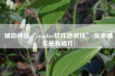 辅助神器“wepoker软件透视挂”(原来确实是有插件)