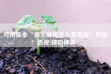 可用版本“微乐麻将怎么看有挂”开挂(透视)辅助神器