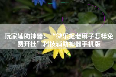 玩家辅助神器：“微乐捉老麻子怎样免费开挂	”科技辅助神器手机版