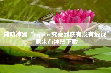 辅助神器“wepoker究竟到底有没有透视”原来有神器下载