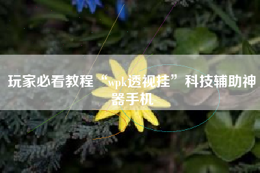 玩家必看教程“wpk透视挂	”科技辅助神器手机