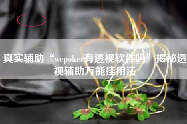 真实辅助“wepoker有透视软件吗	”揭秘透视辅助万能挂用法