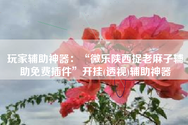 玩家辅助神器：“微乐陕西捉老麻子辅助免费插件”开挂(透视)辅助神器