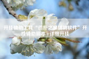 开挂辅助工具“德扑之星辅助软件”开挂辅助脚本+详细开挂