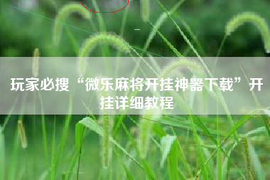 玩家必搜“微乐麻将开挂神器下载”开挂详细教程