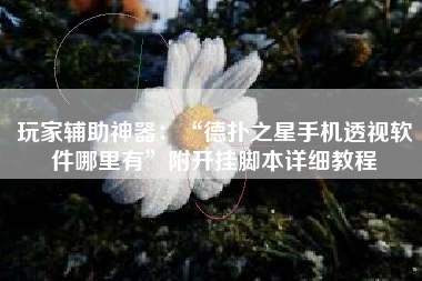 玩家辅助神器：“德扑之星手机透视软件哪里有”附开挂脚本详细教程