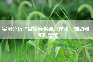 实测分析“微乐麻将能开挂不	”辅助器 - 实时智能