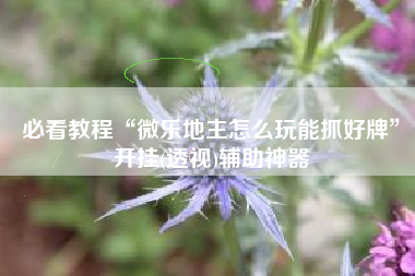 必看教程“微乐地主怎么玩能抓好牌”开挂(透视)辅助神器