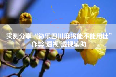 实测分享“微乐四川麻将能不能用挂”作弊(透视)透视辅助