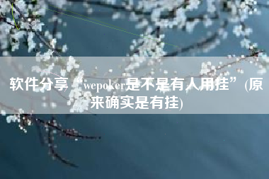 软件分享“wepoker是不是有人用挂”(原来确实是有挂)