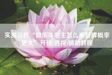 实测分析“微乐斗地主怎么来好牌概率更大”开挂(透视)辅助教程