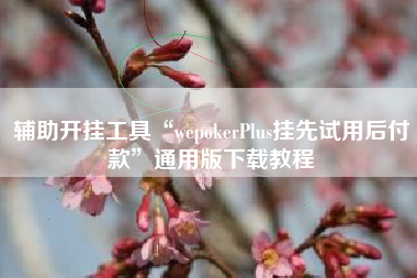 辅助开挂工具“wepokerPlus挂先试用后付款	”通用版下载教程