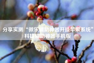 分享实测“微乐辅助神器开挂苹果系统”科技辅助神器手机版