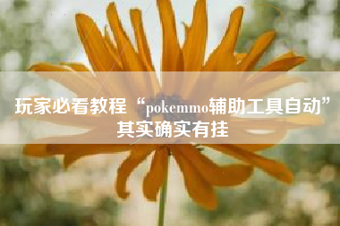 玩家必看教程“pokemmo辅助工具自动”其实确实有挂