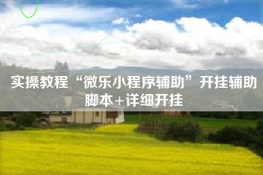 实操教程“微乐小程序辅助”开挂辅助脚本+详细开挂