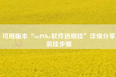 可用版本“wePOke软件透明挂	”详细分享装挂步骤