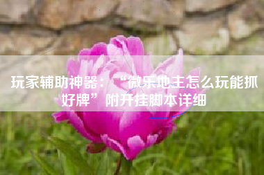 玩家辅助神器：“微乐地主怎么玩能抓好牌”附开挂脚本详细