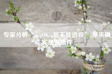 专家分析“wepOKer能不能透视	”(原来确实是有插件