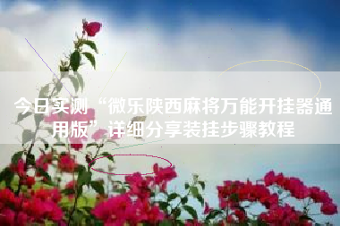 今日实测“微乐陕西麻将万能开挂器通用版	”详细分享装挂步骤教程